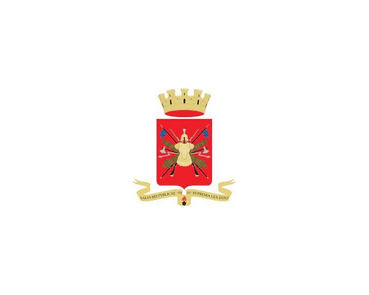 DISTINTIVO ESERCITO VOLON SERV PERMANENTE