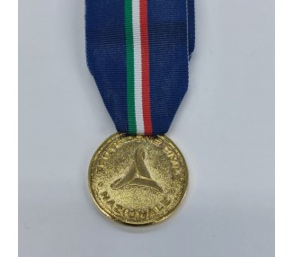 MEDAGLIA PROTEZIONE CIVILE ORO C/NASTRO