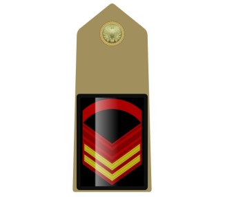 GRADI ESERCITO CAPORAL MAGGIORE C.S. METALLO