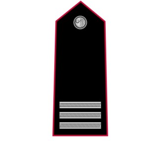 GRADI CARABINIERI MARESCIALLO CAPO METALLO