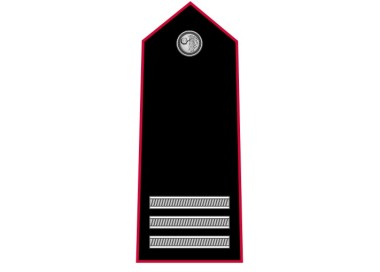 GRADI CARABINIERI MARESCIALLO CAPO METALLO