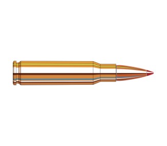 CARTUCCE CAL.308 WIN HORNADY GR.165 SST