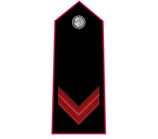 GRADI CARABINIERI CARABINIERE SCELTO