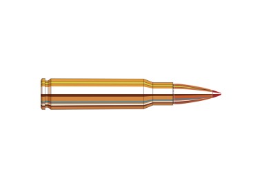 CARTUCCE CAL.308 WIN HORNADY GR.165 SST