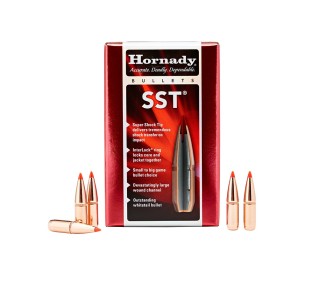 PALLE CAL.308 HORNADY GR.125 SST C/100