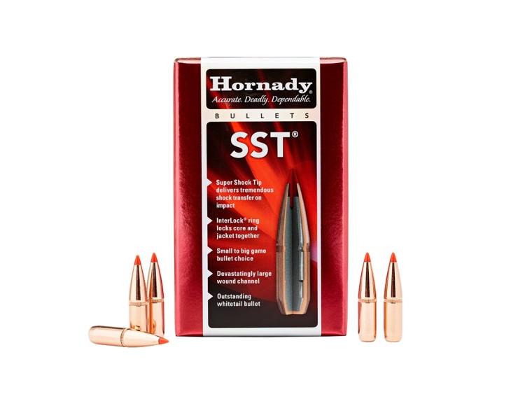 PALLE CAL.308 HORNADY GR.125 SST C/100