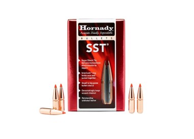 PALLE CAL.308 HORNADY GR.125 SST C/100