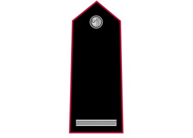 GRADI CARABINIERI MARESCIALLO METALLO