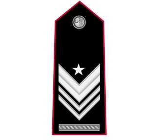 GRADI CARABINIERI BRIGADIERE CAPO Q.S.VERS. TUBOLARI NERI