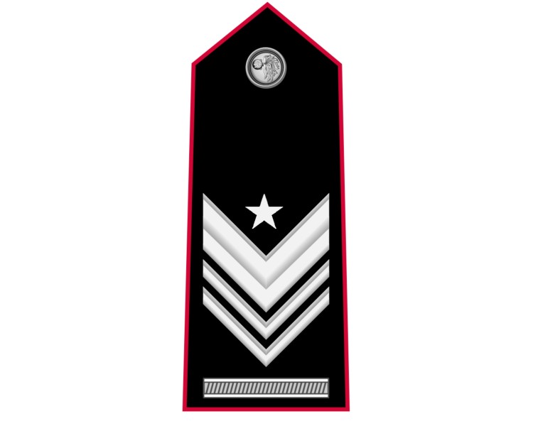 GRADI CARABINIERI BRIGADIERE CAPO Q.S.VERS. TUBOLARI NERI