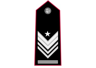 GRADI CARABINIERI BRIGADIERE CAPO Q.S.VERS. TUBOLARI NERI