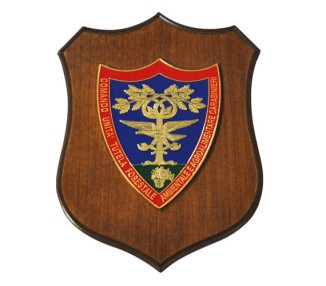 CREST CARABINIERI FORESTALE