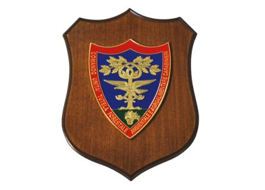 CREST CARABINIERI FORESTALE