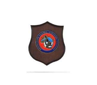 CREST CARABINIERI RIS ROTONDO