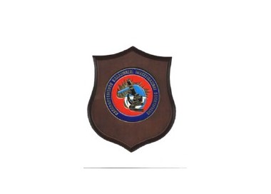 CREST CARABINIERI RIS ROTONDO