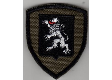 RICAMO ESERCITO BRIGATA AOSTA VERDE CON VELCRO