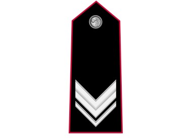 GRADI CARABINIERI VICE BRIGADIERE VELCRO