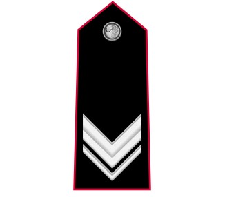 GRADI CARABINIERI VICE BRIGADIERE METALLO