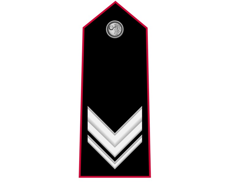 GRADI CARABINIERI VICE BRIGADIERE METALLO