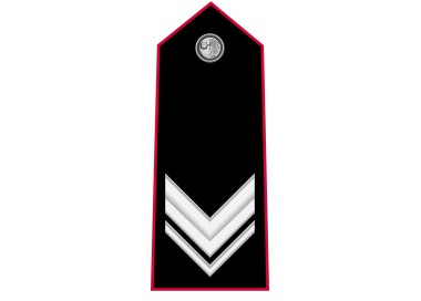 GRADI CARABINIERI VICE BRIGADIERE METALLO