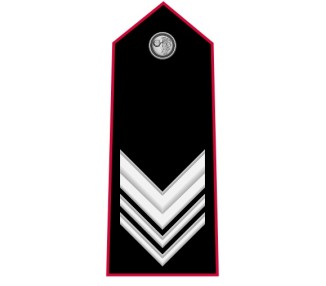 GRADI CARABINIERI BRIGADIERE TUBOLARI